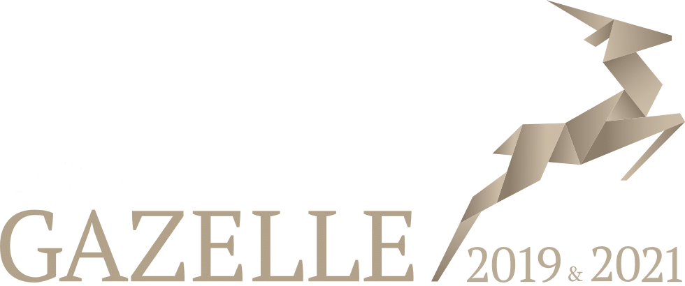 Gazellevirksomhed_2019&2021